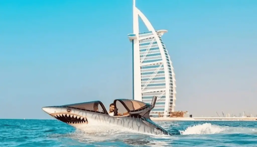SEA BEACHER RIDE | Adventure Activities in Dubai