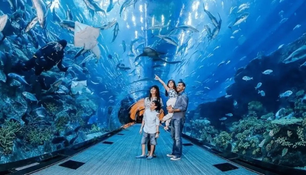 Dubai Aquarium | Free Things To Do In Dubai