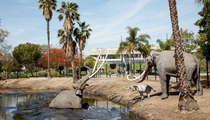 The La Brea Tar Pits & Museum | Best Things To Do in Los Angeles | unique things to do in Los Angeles | Best Attractions in Los Angeles 