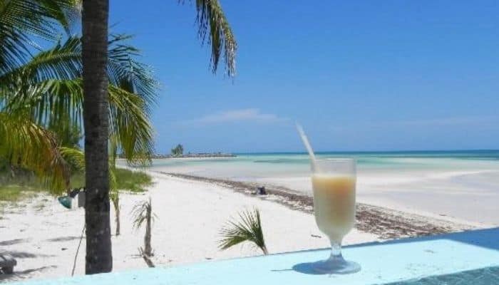 Banana Bay | Best Restaurants on Grand Bahama Island | Grand Bahama Island's Best Restaurants | Restaurants and Beach Cafes on Grand Bahama Island 
