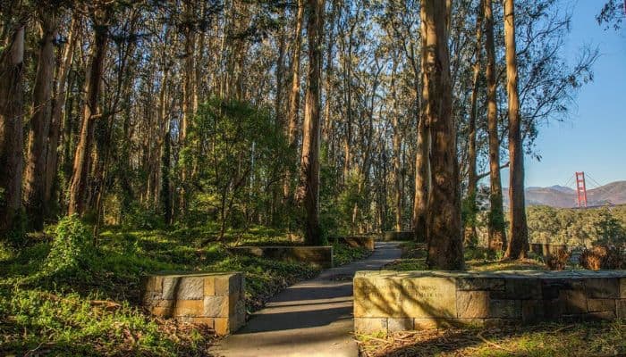 Presidio Loop Trail | Best Hikes In San Francisco