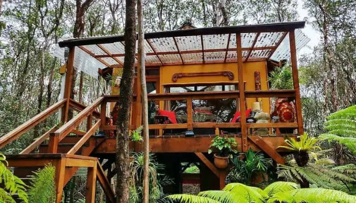 Peaceful Rainforest Treehouse Retreat Volcano Hawaii | Best Airbnbs in the US | Most Unique Airbnbs in the US
