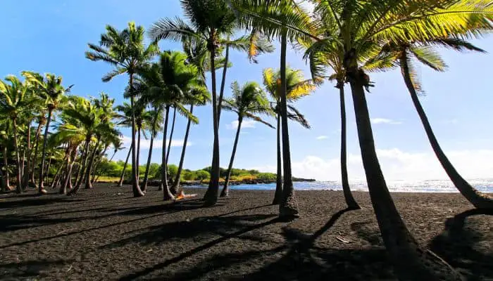 Punaluu Beach Big Island |  Best Beaches To Visit In Hawaii | Best Beaches In Hawaii 