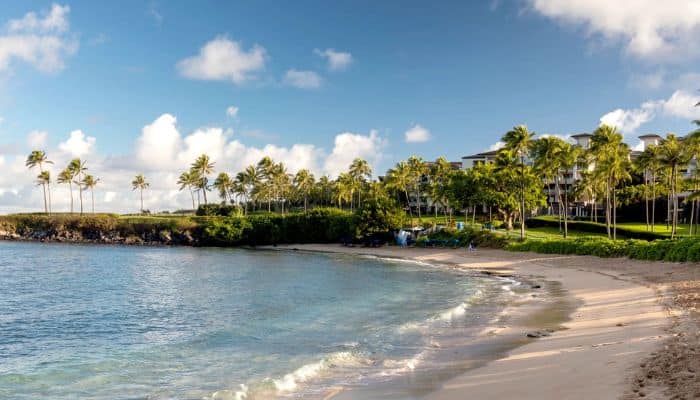 Kapalua Beach Maui |  Best Beaches To Visit In Hawaii | Best Beaches In Hawaii 
