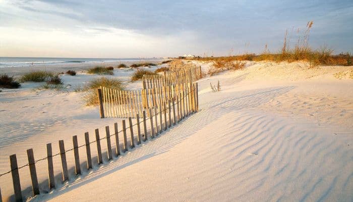 Huntington Beach State Park | Best Beaches in South Carolina