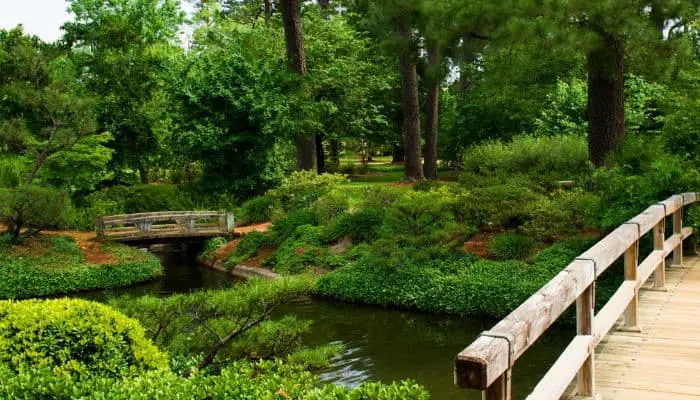 Hermann Park | Best Parks In Houston Texas
