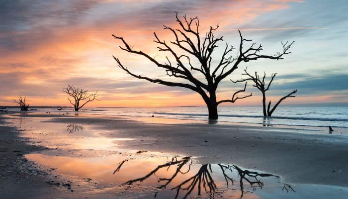 Edisto Beach | Best Beaches in South Carolina