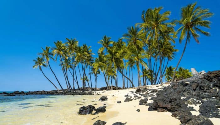 Makalawena Beach Big Island |  Best Beaches To Visit In Hawaii | Best Beaches In Hawaii 