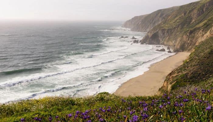 Tomales Point Trail at Point Reyes National Seashore | Best Hikes In San Francisco