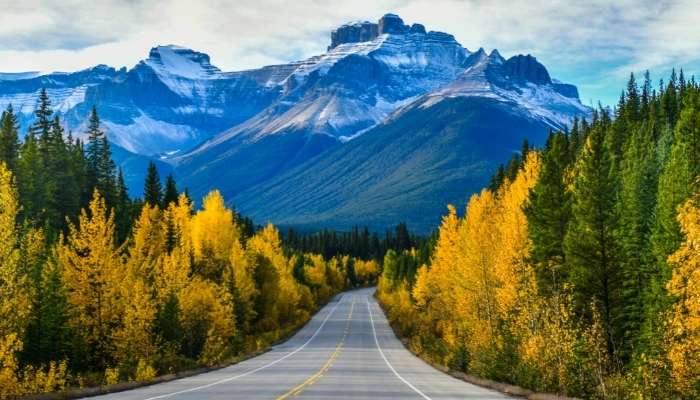 Best US National Park Road Trips | Best National Park Road Trips In The US | national park road trip | national park trip | national parks road trip itinerary | national park road trips | national parks road trip | national park trips | Best US National Park Road Trips | Best National Park Road Trips In The US | best national park road trips | best national park book | i 90 road trip | national park driving tour | national parks along i 90 | las vegas to yellowstone national park road trip | national park roadtrip | olympic peninsula road trip | los angeles to yellowstone national park roadtrip | las vegas to yellowstone national park drive | zion national park road trip | glacier national park road trip | la to yellowstone national park road trip | olympic national park scenic drive | olympic national park road trip | colorado national parks road trip | road trip through utah national parks | national park road trip | national parks road trip | national park road trips | road trip national parks | national park trip planner | national park roadtrip | national park road trip planner